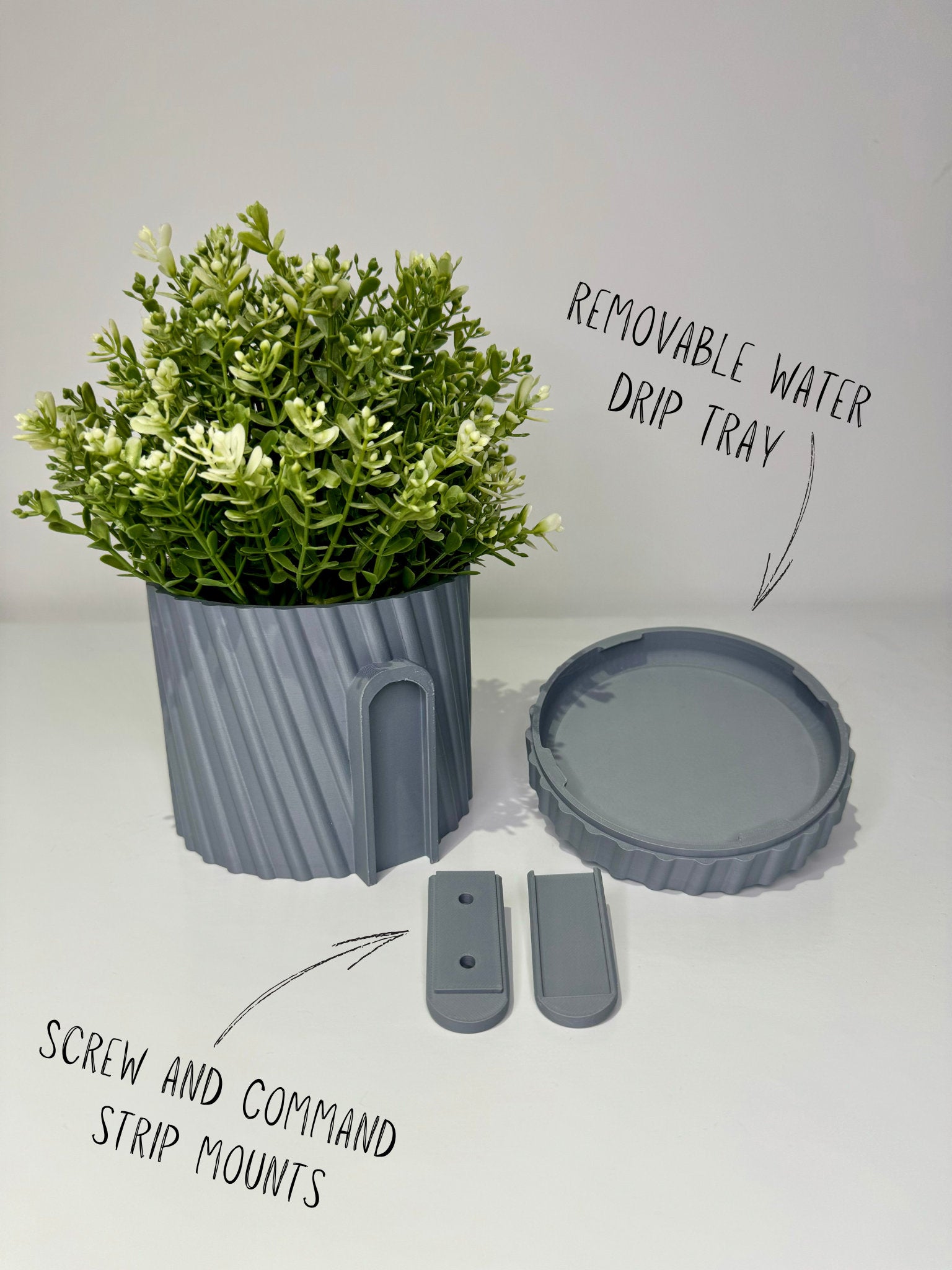 Fern - Wall Planter