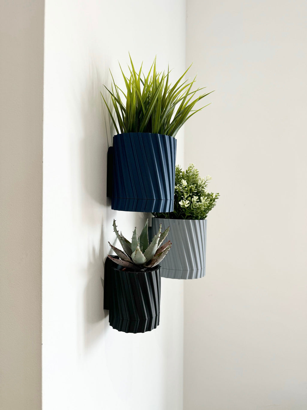 Fern - Wall Planter