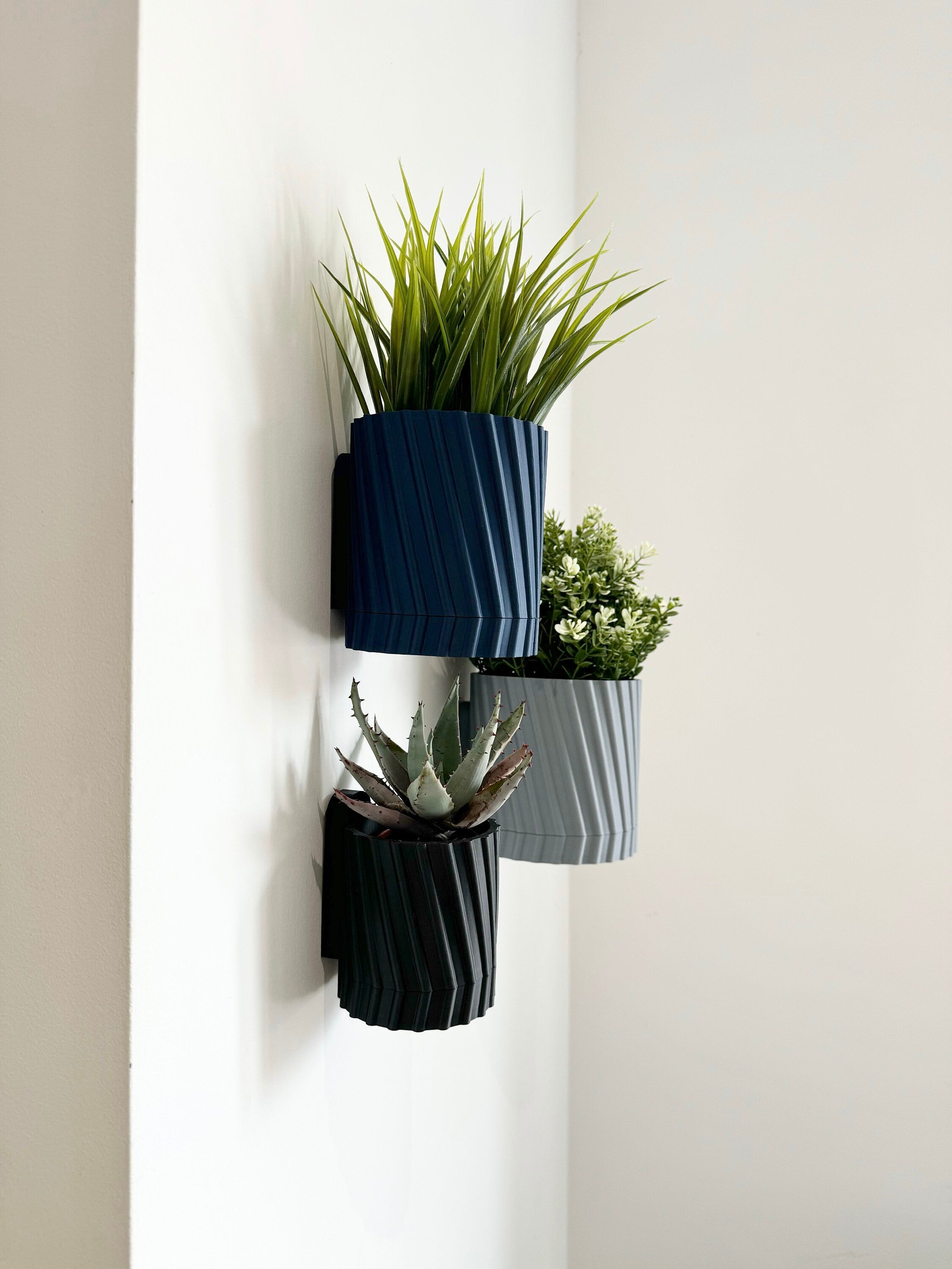 Fern - Wall Planter