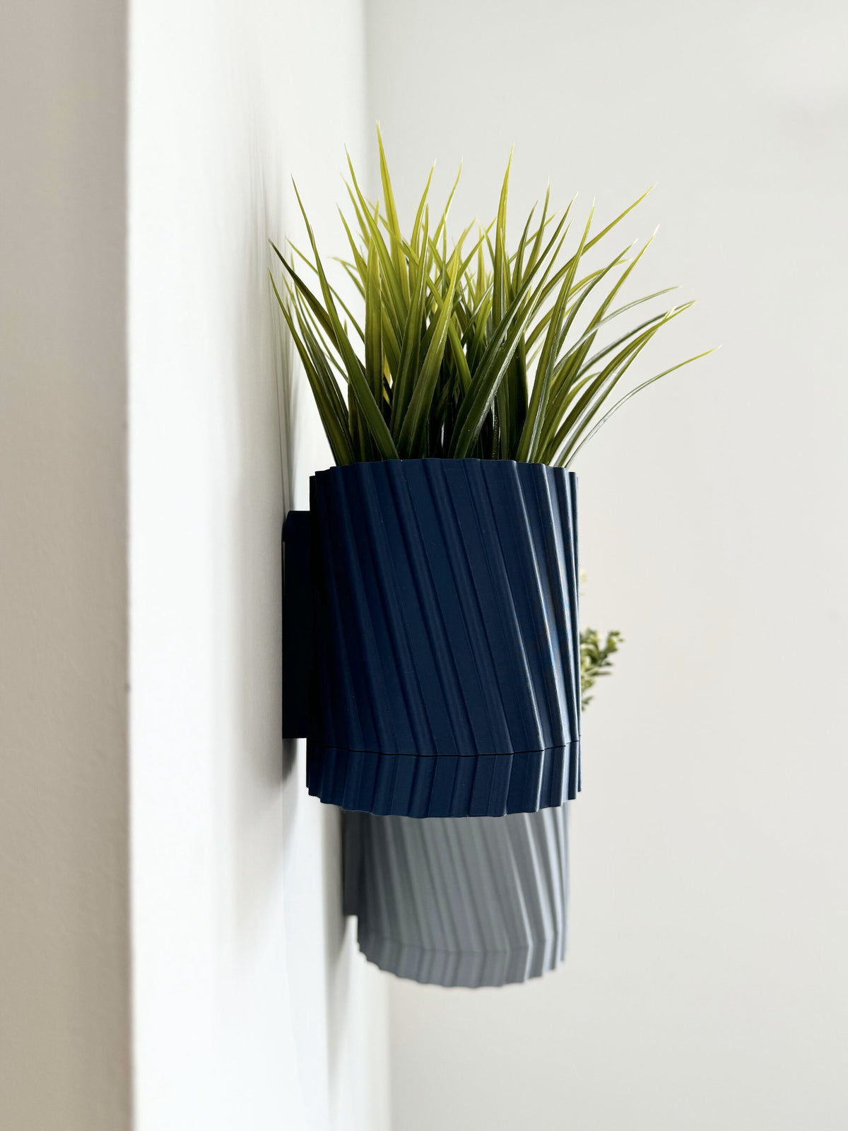 Fern - Wall Planter