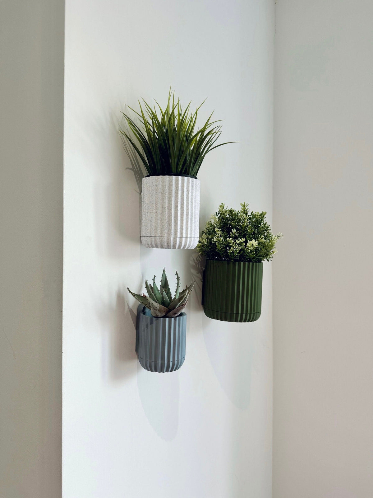 Sprig - Wall Planter