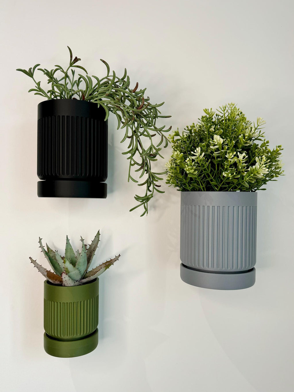 Moss - Wall Planter