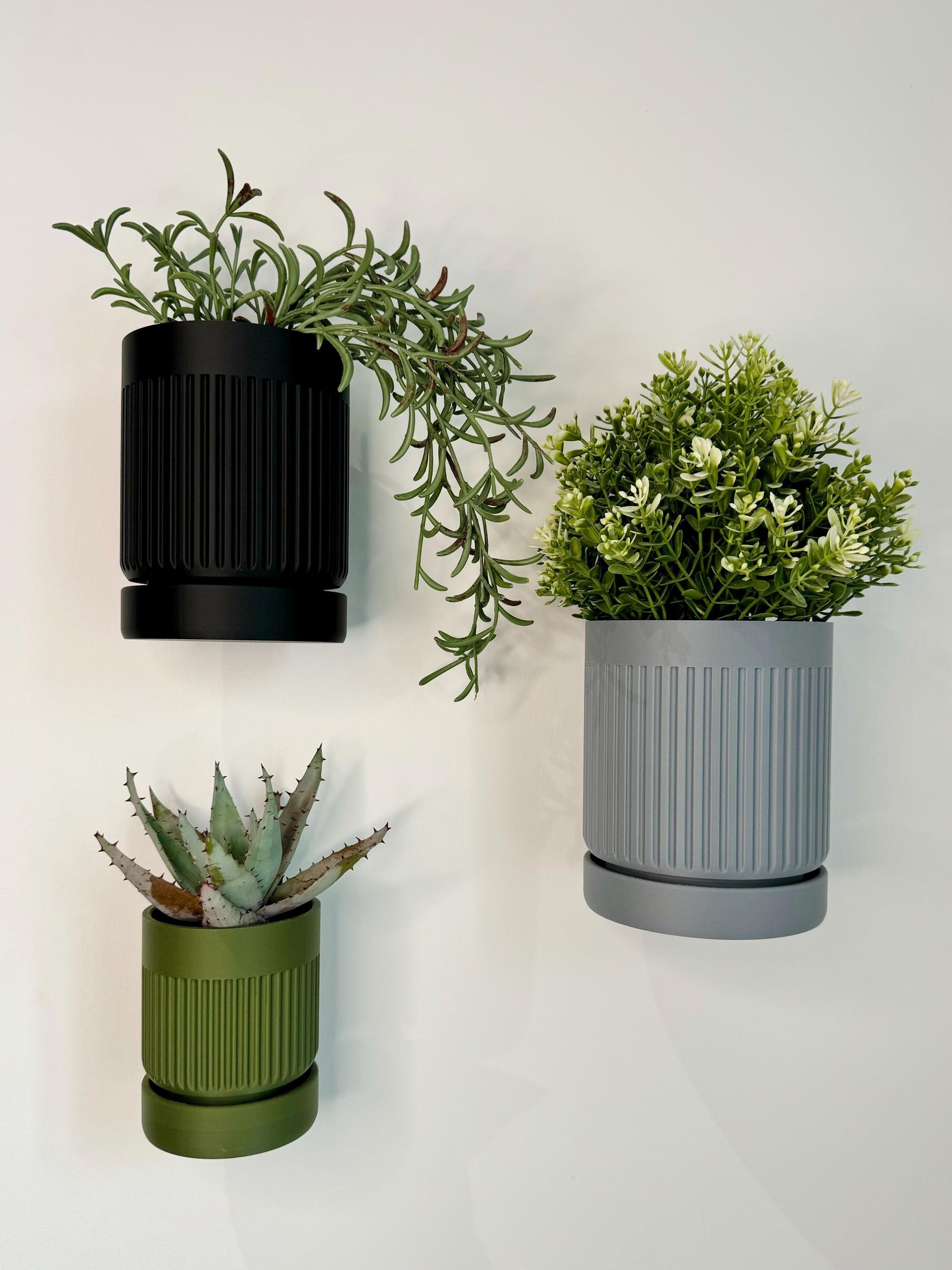 Moss - Wall Planter