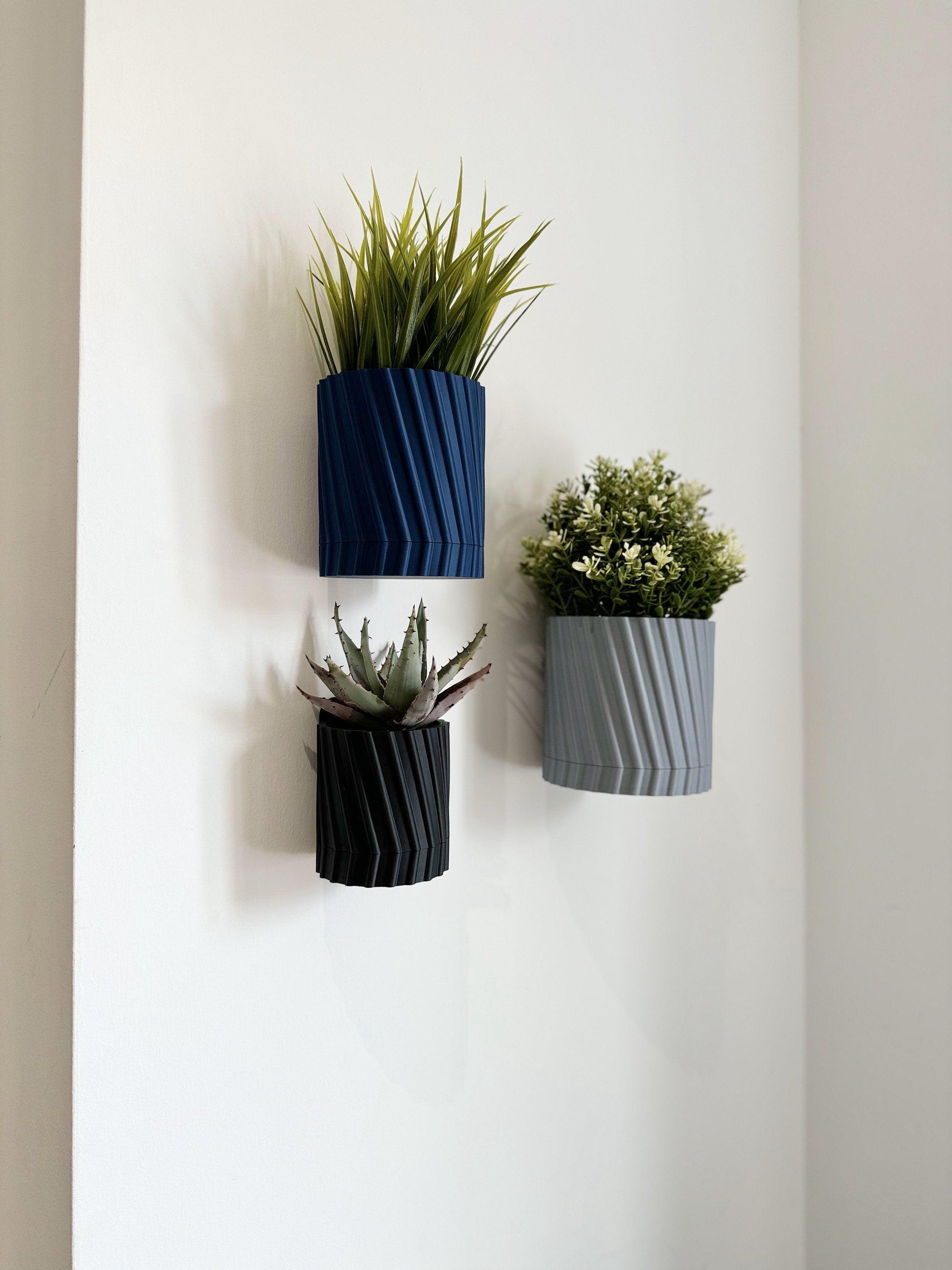 Fern - Wall Planter
