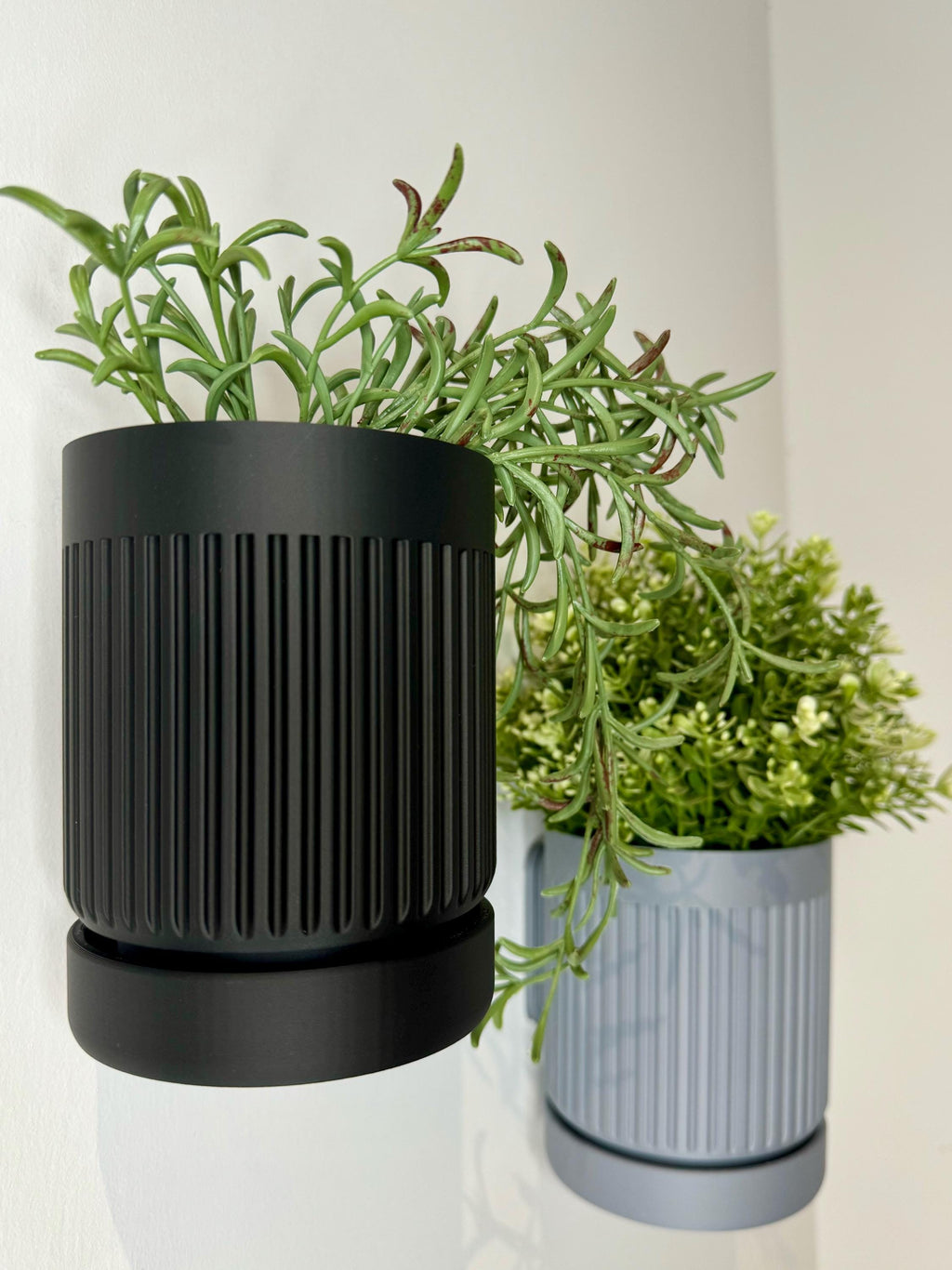 Moss - Wall Planter