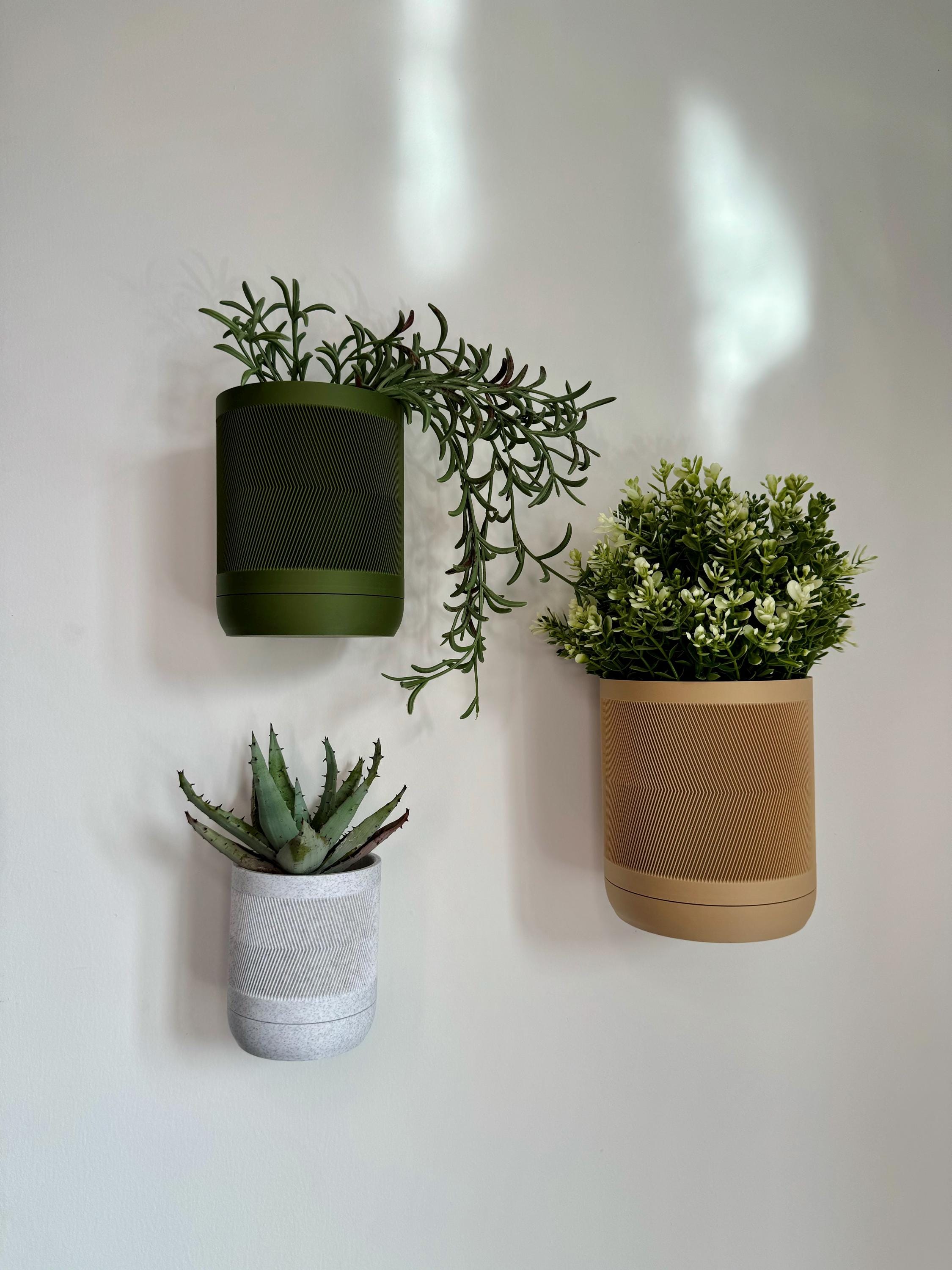 Ivy - Wall Planter