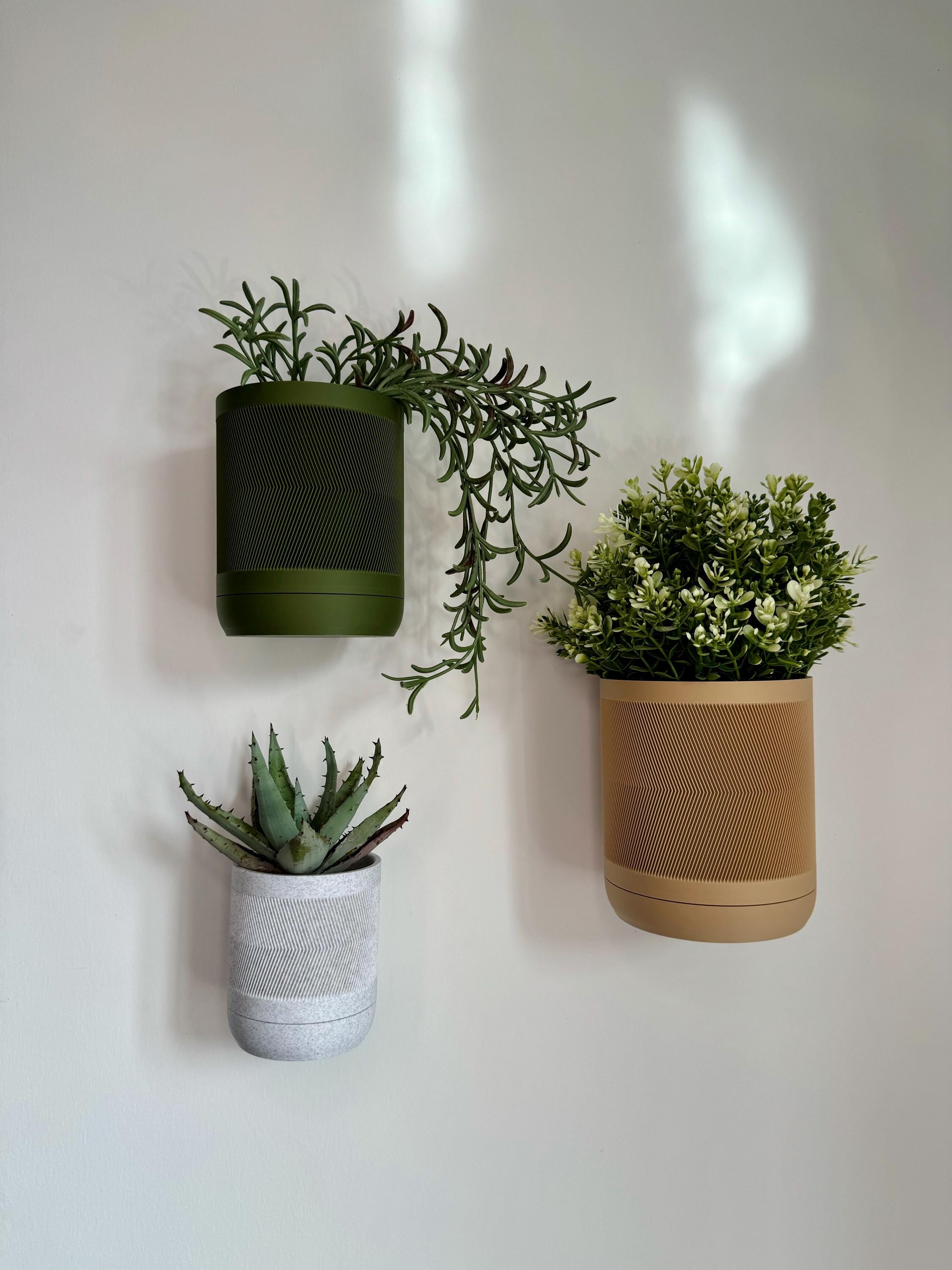 Sorrel - Wall Planter