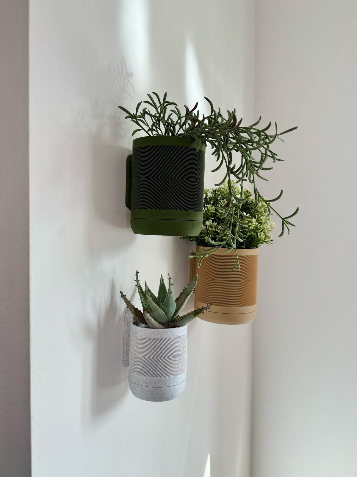 Ivy - Wall Planter