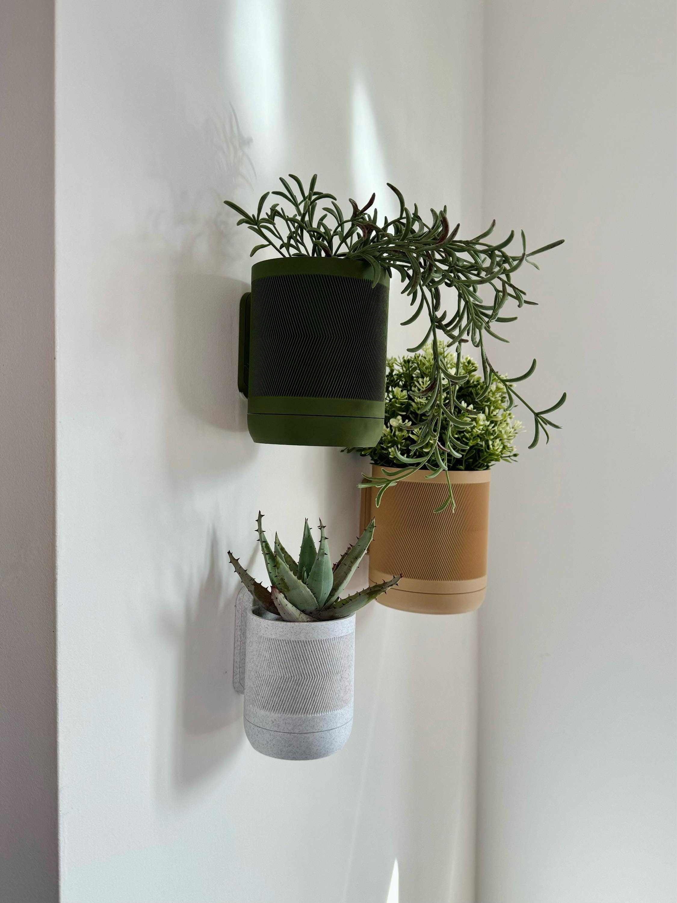 Sorrel - Wall Planter