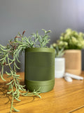 Sorrel - Wall Planter