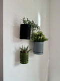 Moss - Wall Planter