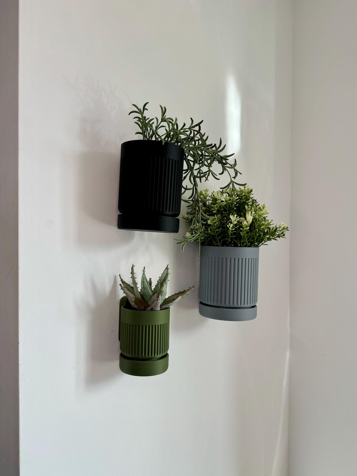 Moss - Wall Planter