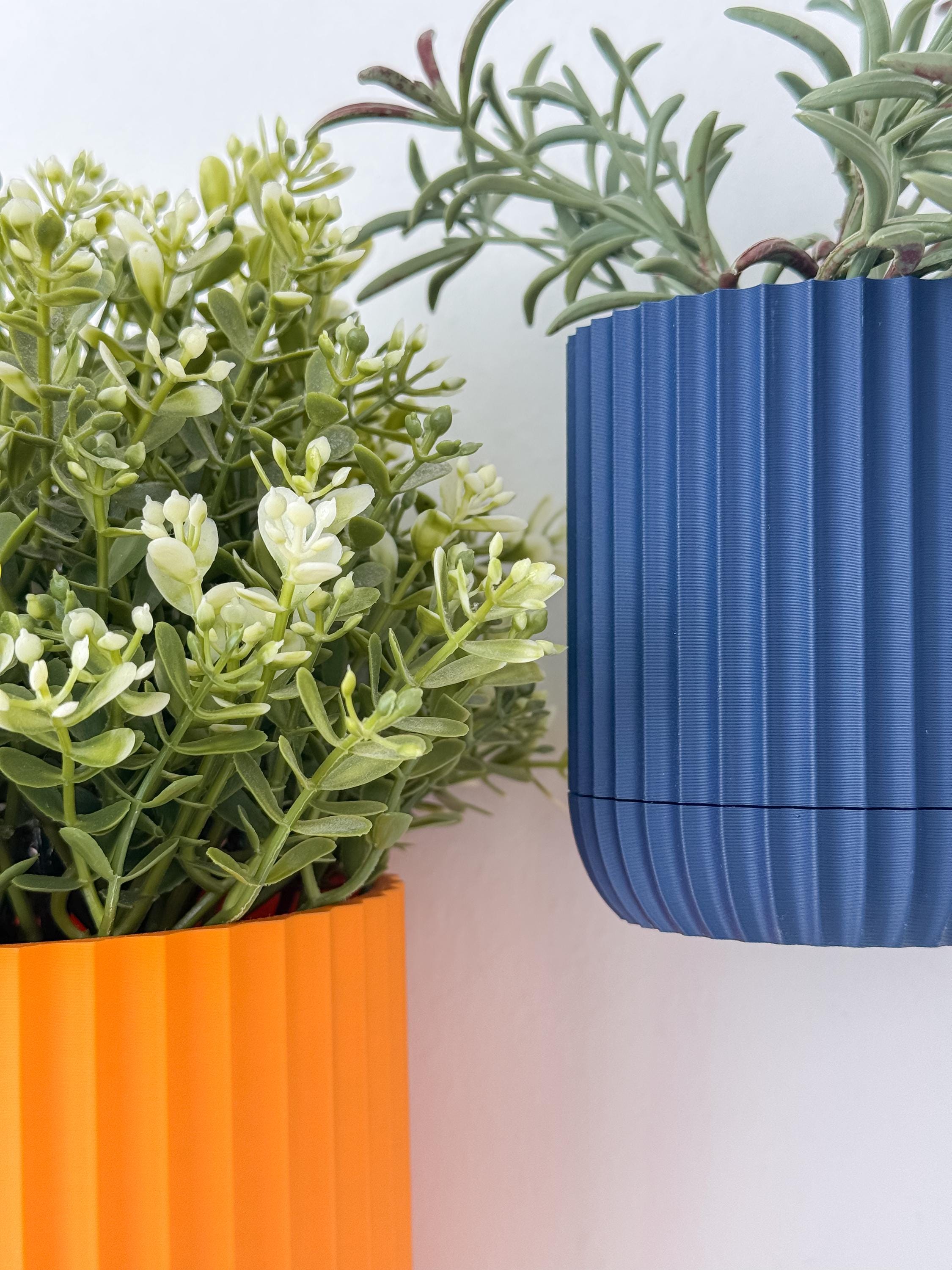 Sage - Wall Planter