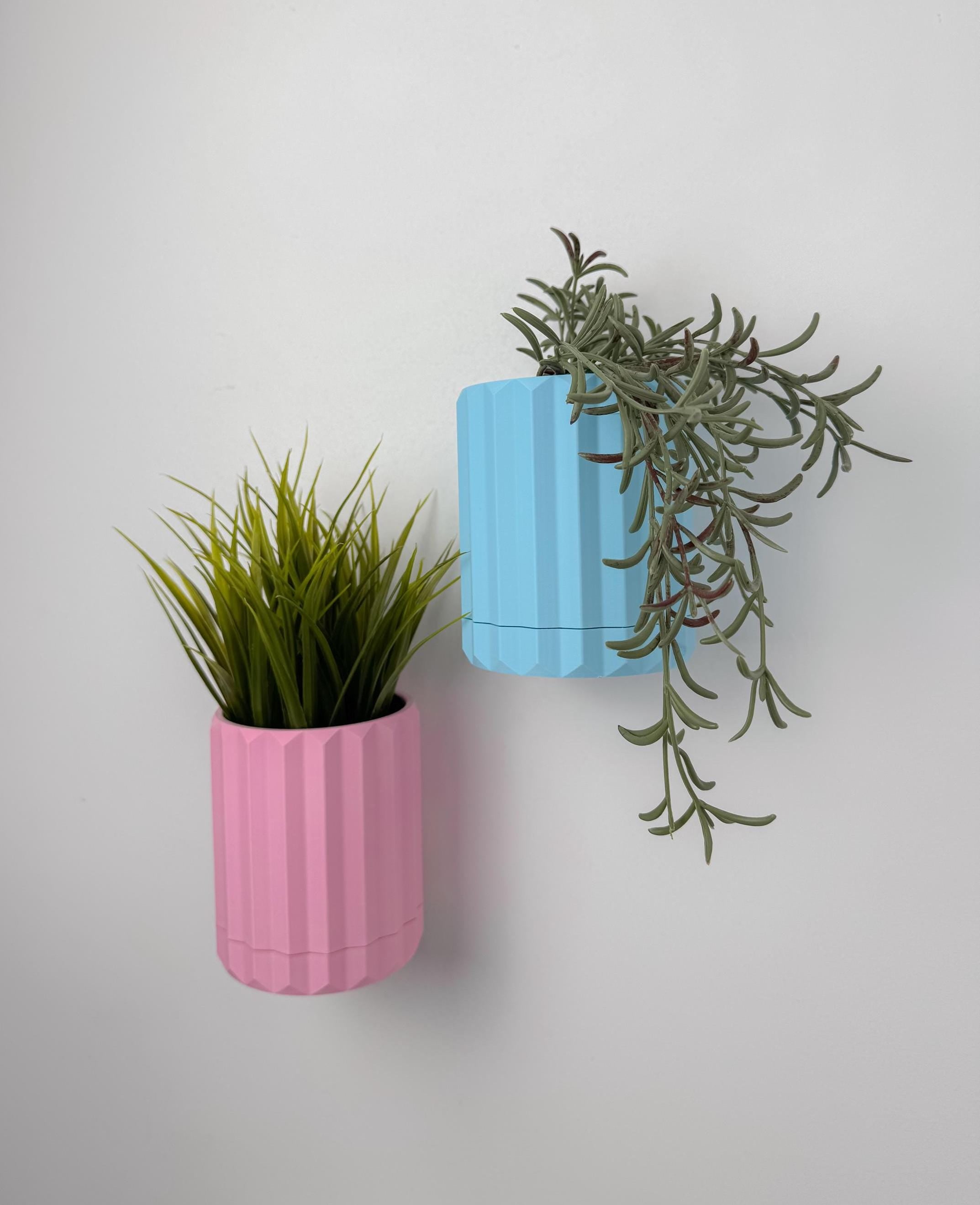 Bloom - Wall Planter